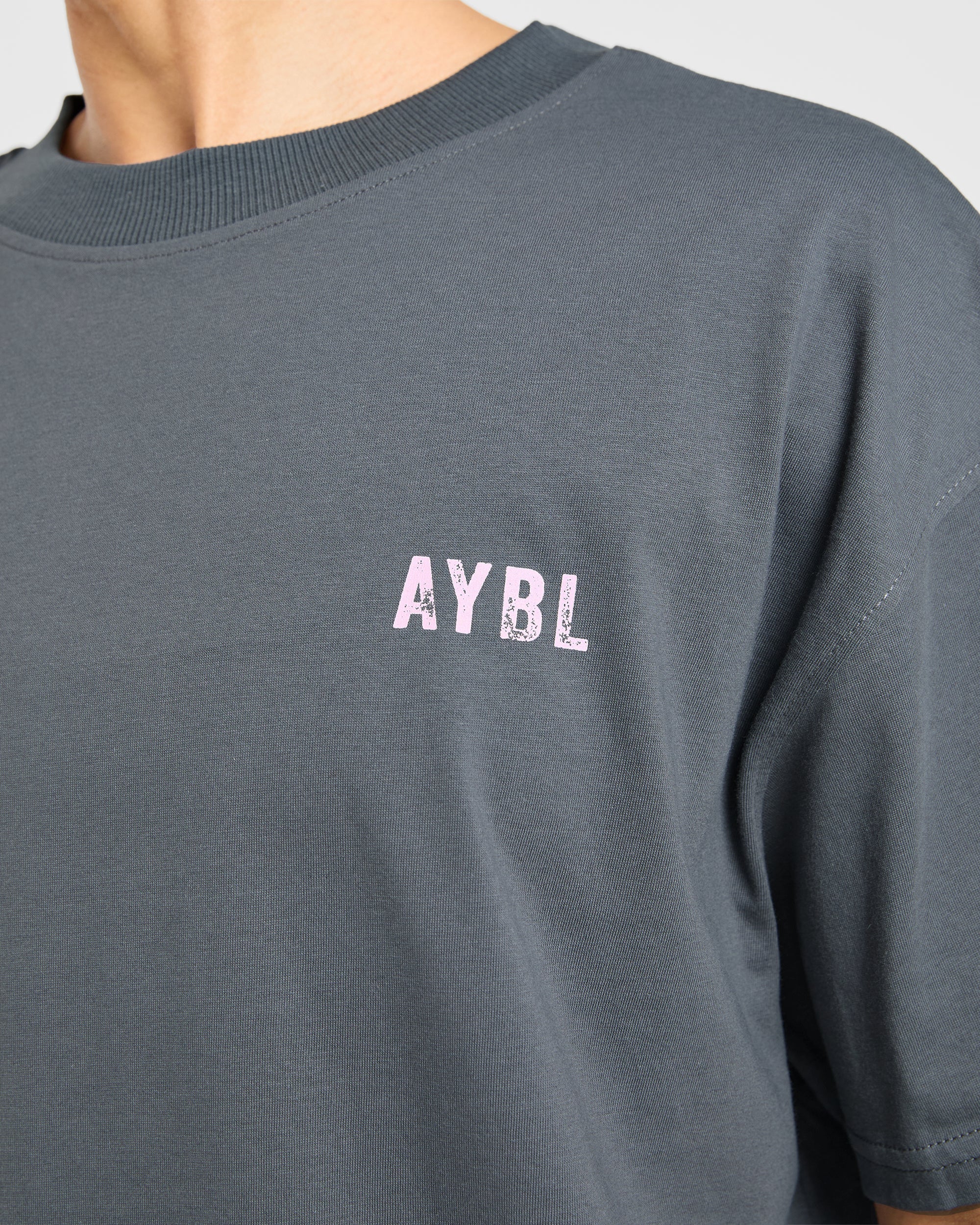 Sculpting Season Oversized T Shirt - Grijs/Roze - Image 5